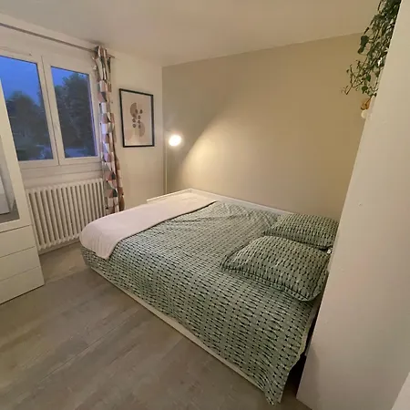 Bedroom, Shared Kitchen And Living *